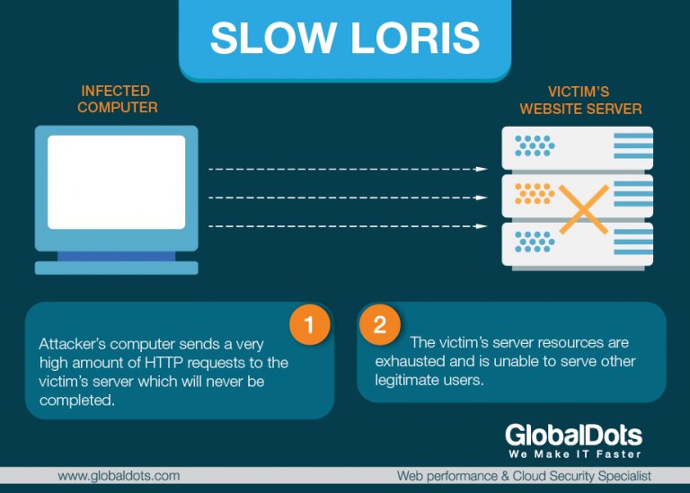 slow loris