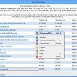 Display of a file optimization program with file details and options.