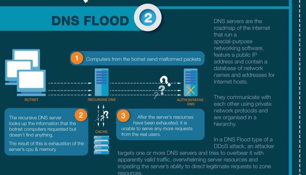 Ddos'd Types of DDoS Attacks Infographic | GlobalDots