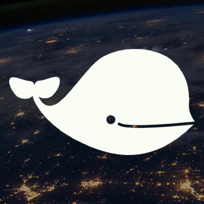 A simple white silhouette of a whale against a backdrop of Earth with lights visible.