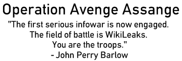 Text from John Perry Barlow about WikiLeaks and internet activism.